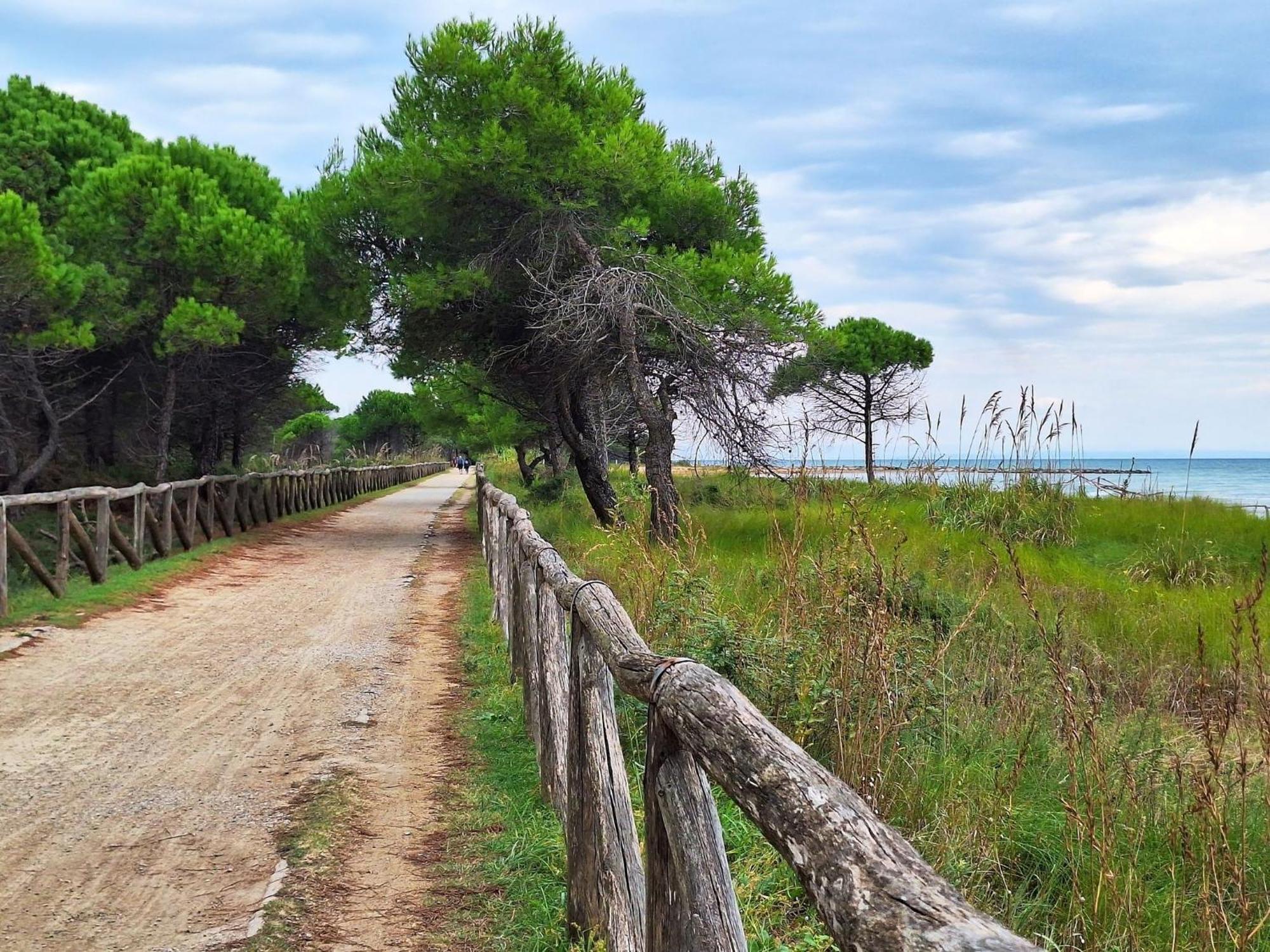 Essential Near The Bibione